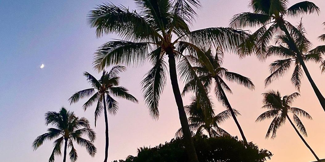 🏝 Letter 77: Why Hawaii, Traditions, Introspection