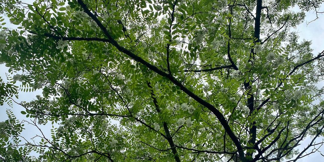 🫂 Letter 61:  Mental Health, Unknowing Oneself, Therapy, Understanding...