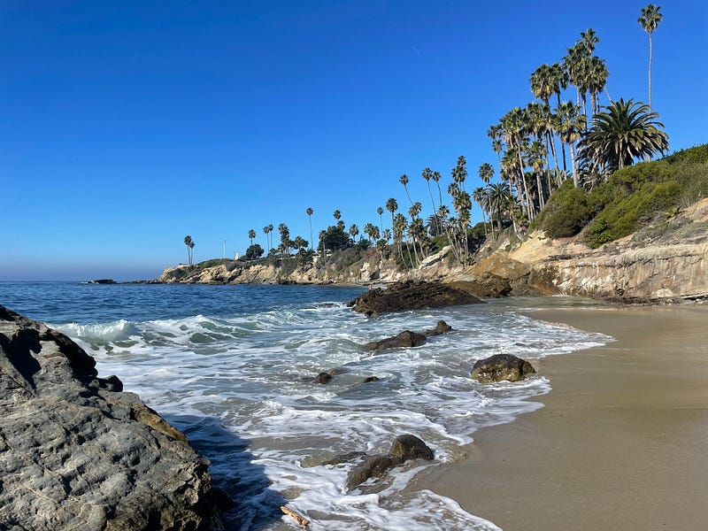 😱Letter 94: Why am I chasing fear? 