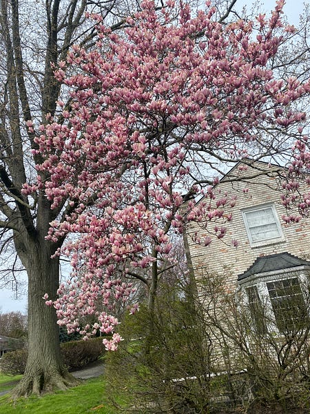 🧐Letter 108: What have you been loving, lacking and learning?