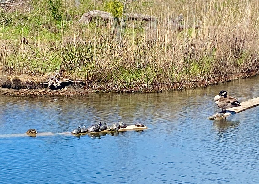 🥲 Letter 59: Failure, Getting Fired, Goals, Gasoline...