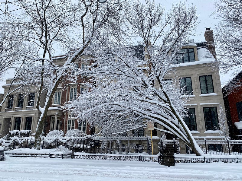 🌟 Letter 45 from a learn-it-all 🌟