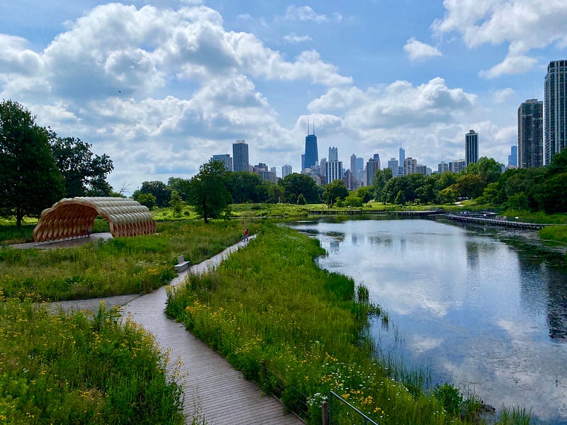 Letter #18 from a Learn-it-all