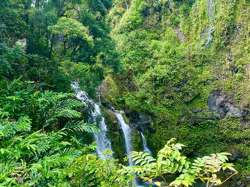 🚘 Letter 76: Road to Hana, Languish, Ennui