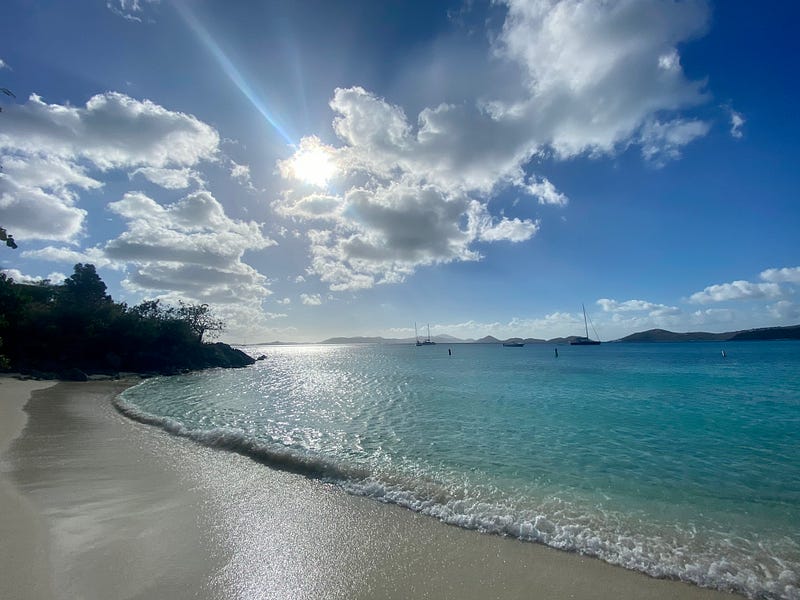 🐠 Letter 49 from a learn-it-all