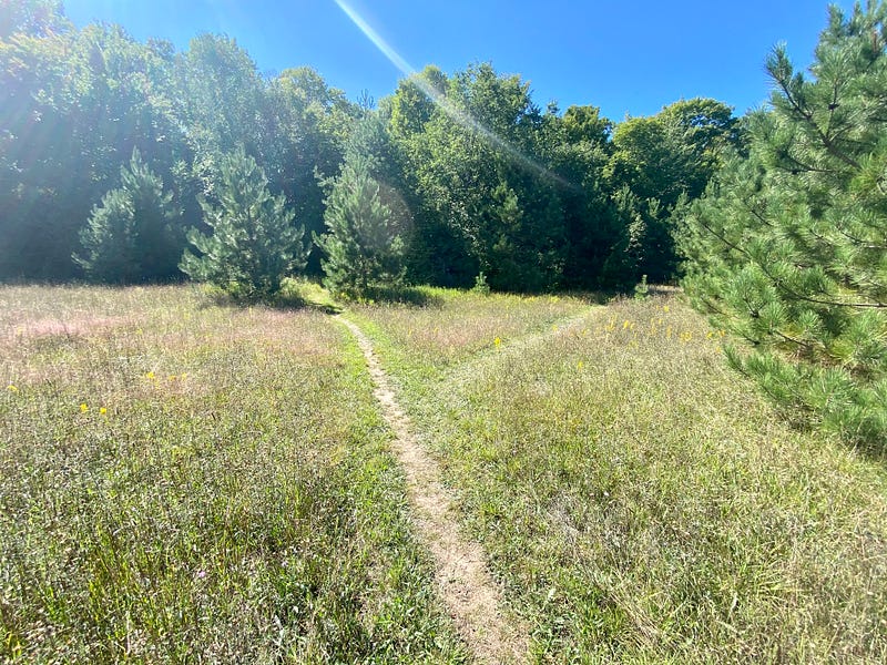 🌟 Letter #42 from a Learn-it-all 🌟